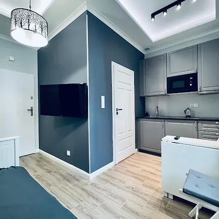 Viu Sobieskiego Appartement *