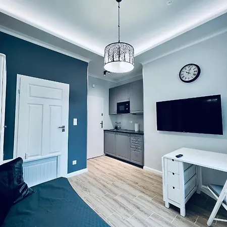 Viu Sobieskiego Appartement *