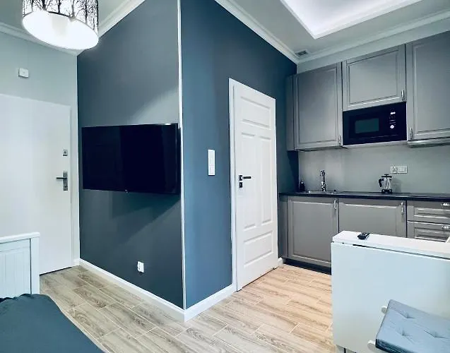 Viu Sobieskiego Apartament *